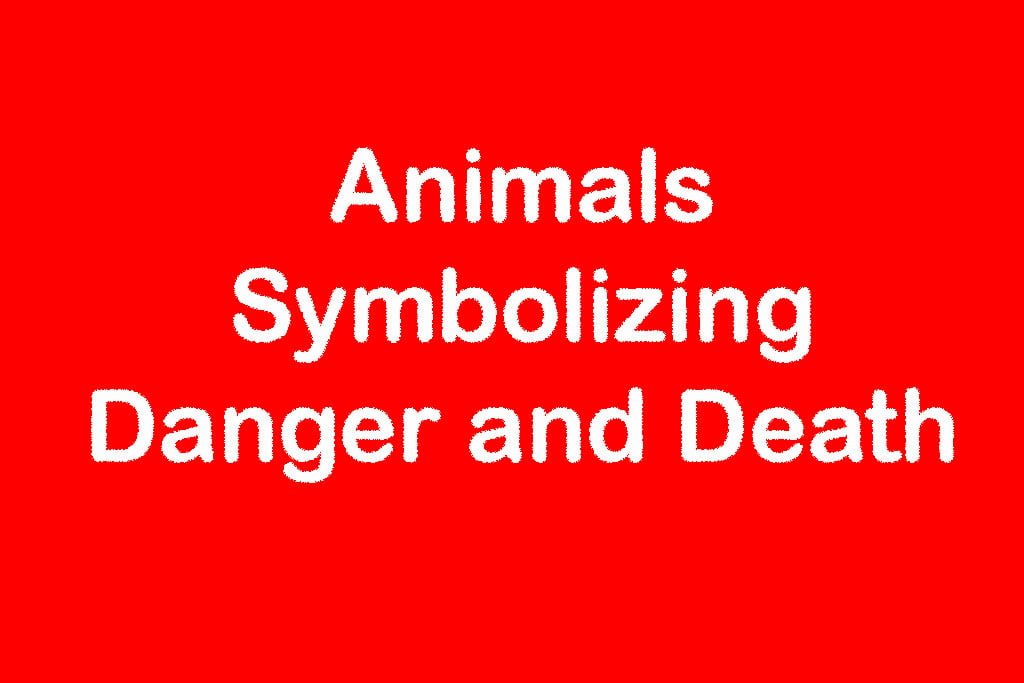 animals symbolizing danger and death