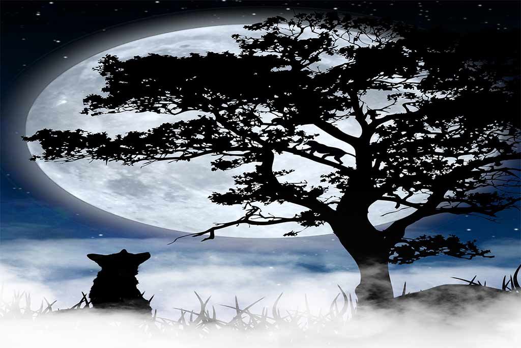 moonlit fox symbolism